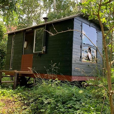 Pipo-Wagen De Veenborgh Veendam Exterior photo